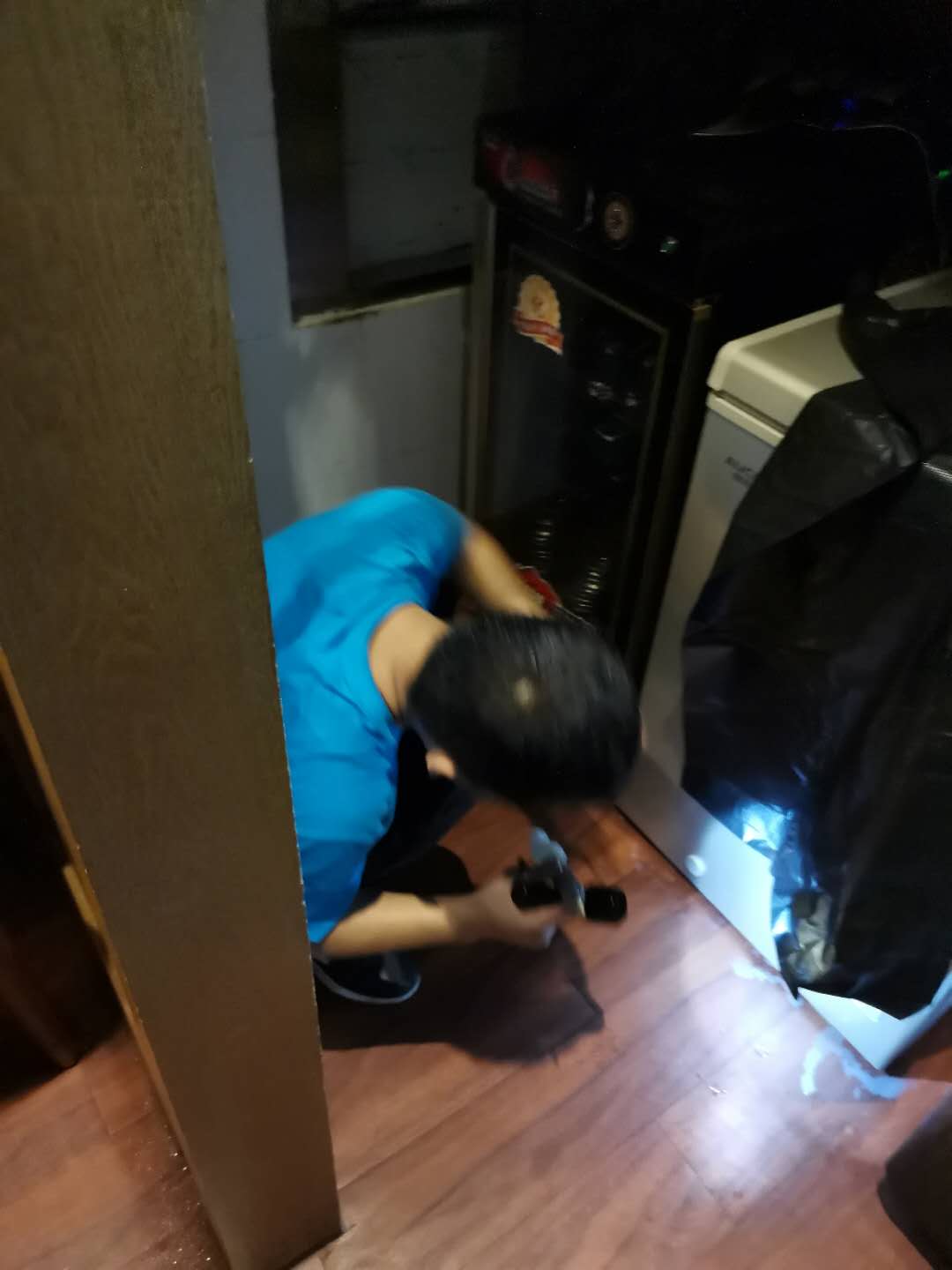 广州杀虫公司：老鼠最怕什么东西或者什么气味?