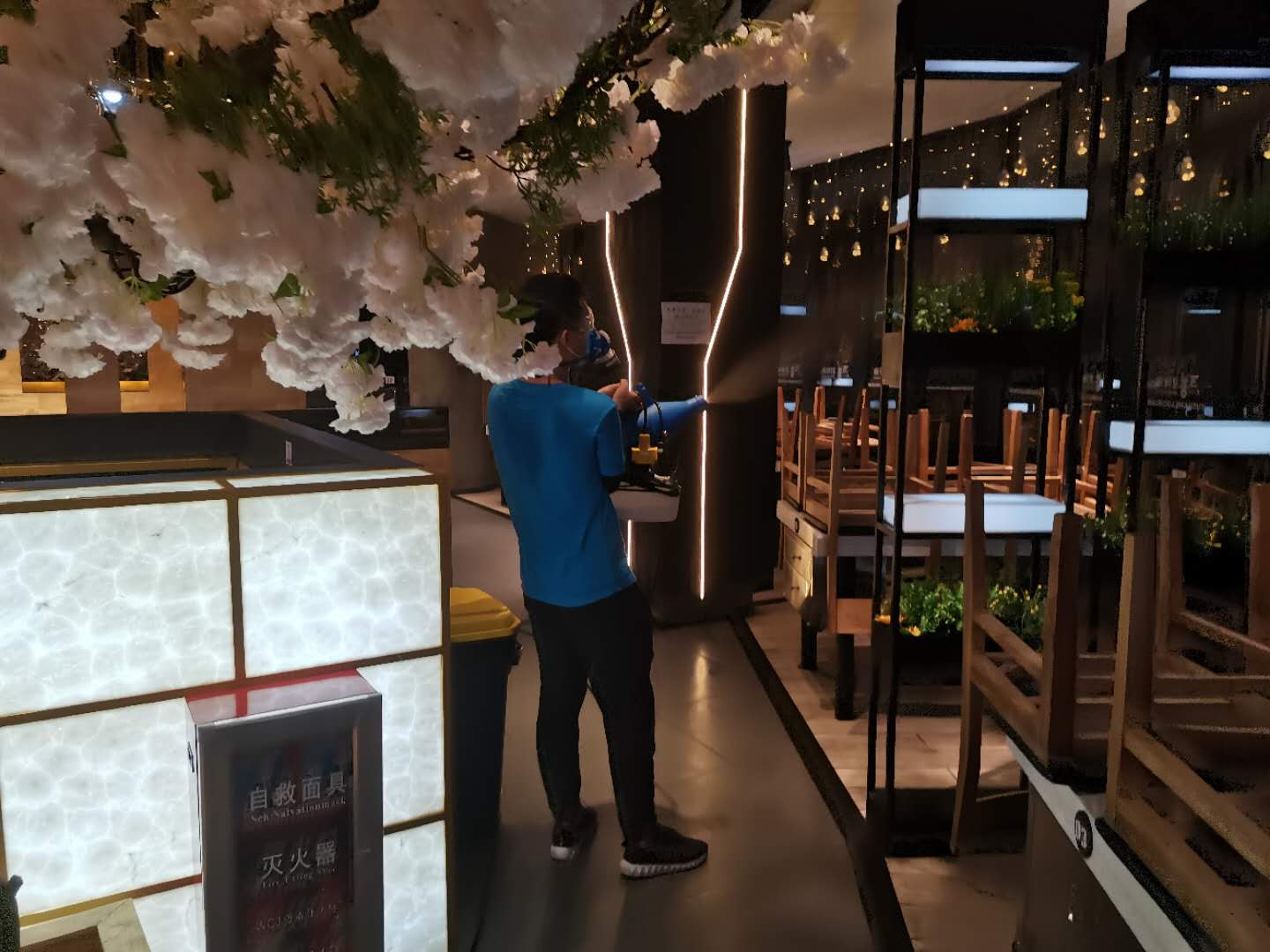 广州杀虫公司：白蚁有多可怕？