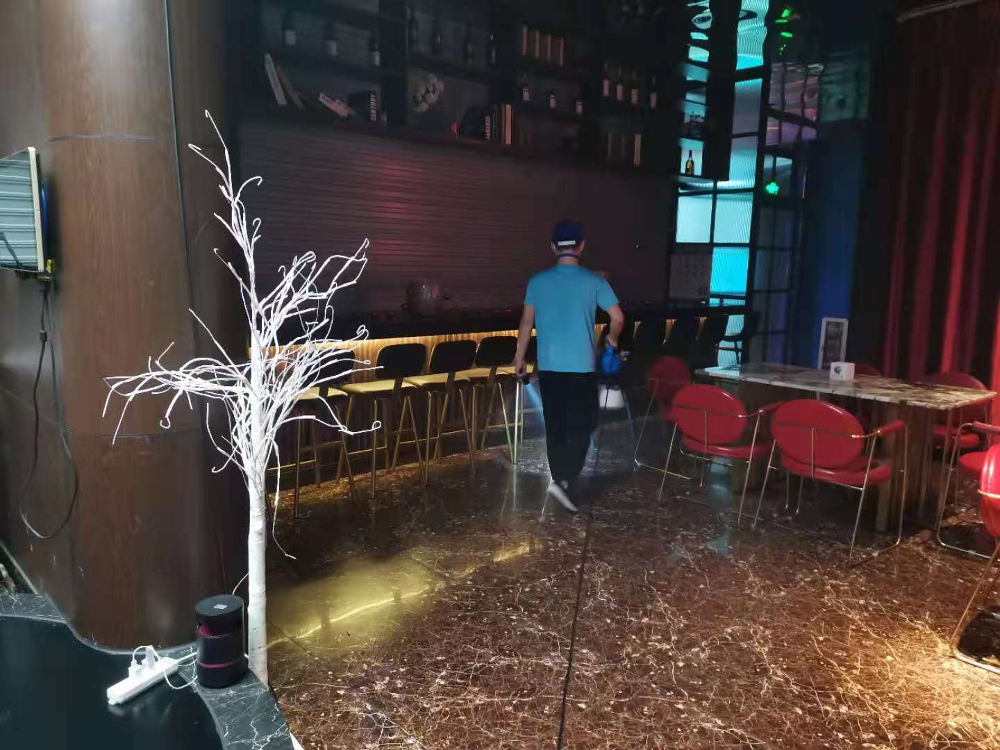 广州杀虫公司：家里突然出现白蚁的原因