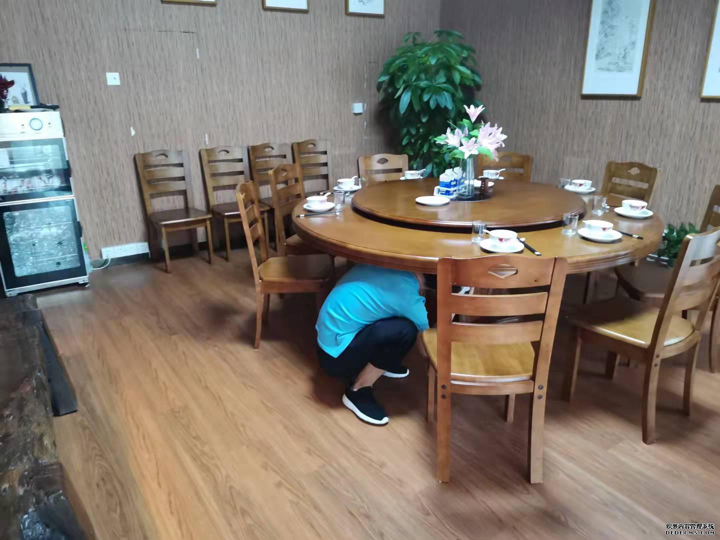 广州杀虫公司：千里之堤毁于蚁穴